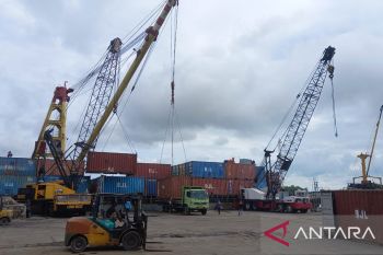Petani milenial Babel ekspor daun ketapang ke Jerman