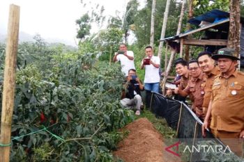 Alokasi Dana Desa Pasaman Barat menurun