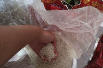 Lampung selidiki penyebab naiknya harga beras