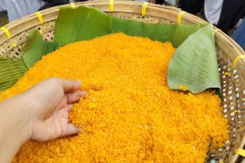 Mahasiswa diorong gali potensi pangan fungsional dari lokal