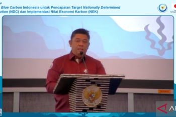 KKP targetkan lamun dan mangrove ekosistem karbon biru