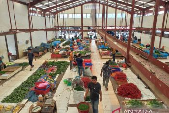 Persediaan menipis, harga tomat di Aceh naik capai Rp15 ribu per kg