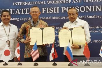 Perairan tiga Gili Lombok bebas keracunan ikan Ciguatera