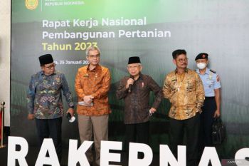 Wapres Ma'ruf Amin meminta Kementan tidak hanya fokus pada surplus beras