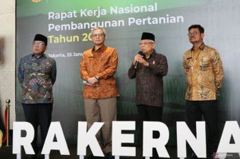 Wapres Ma'ruf Amin telusuri dugaan permainan mafia beras