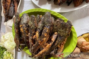 Importance of animal protein in reducing stunting cases