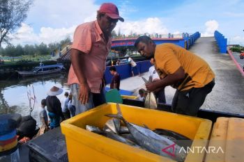 Bantuan pemerintah dongkrak produksi ikan tangkap Pariaman jadi 6.644 ton