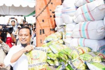 Pemprov Sulsel siapkan 2,5 juta kg benih padi untuk 100 ribu Ha