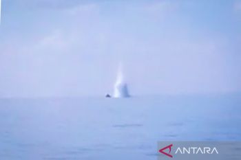 PSDKP ungkap pelaku pengeboman ikan di laut Natuna Kepri