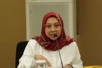 Kemen PPPA mendorong pengelola TNGHS hukum oknum pelaku pelecehan seksual