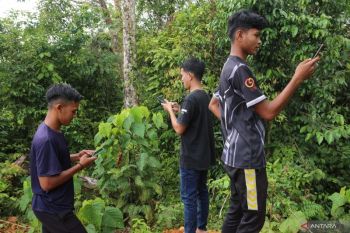 22 sekolah tak ada internet, pelajaran IT tersendat