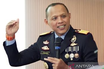 DJBC: Banyak perusahaan tambang menunggak PNBP ratusan miliar