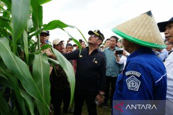 Mentan Yasin Limpo mendorong petani Konawe Selatan budi daya sorgum