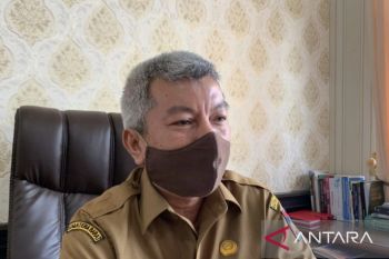 70 persen beras di Padang dari luar daerah dan Bulog
