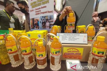 OJK minta TPAKD Sulsel lebih inovatif untuk percepatan akses keuangan