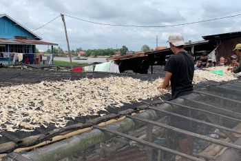 Pemkot Palembang tawarkan pinjaman modal tanpa agunan buat UMKM