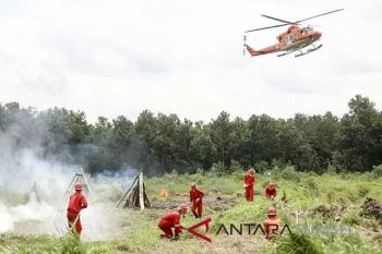 BPBD Sumsel antisipasi ancaman kebakaran hutan