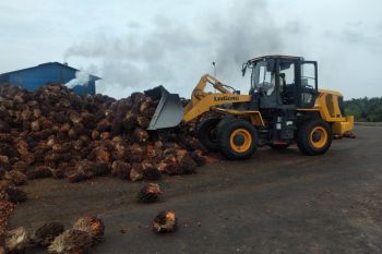 Koperasi Sawit Makmur satu-satunya yang punya kebun dan pabrik sendiri