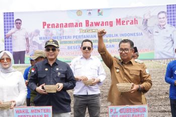 Kementerian Pertanian dukung pengembangan food estate
