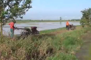 DPRD harapkan sirkulasi sistem sewa alsintan diatur