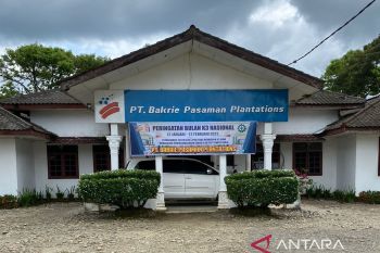 PT BPP Pasbar tegaskan putusan pengadilan mengenai lahan plasma belum final