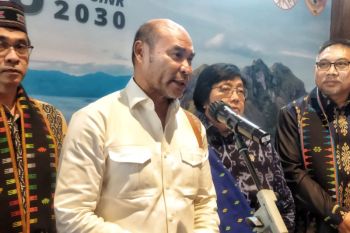 Pemprov NTT manfaatkan bambu dukung KLHK turunkan emisi gas