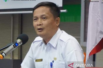 BPS: Beras dorong Manado alami inflasi 0,36 persen