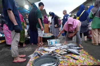 Pemkot Mataram segera membangun pasar ikan higienis