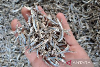 Yayasan PKN bantu pasarkan hasil kelompok nelayan Natuna