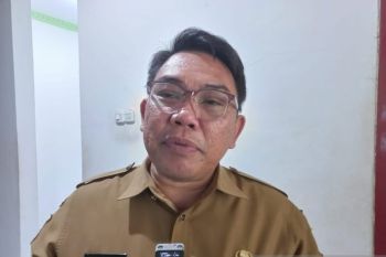 Pemprov Papua sebut ada lima sektor pacu pertumbuhan ekonomi baru