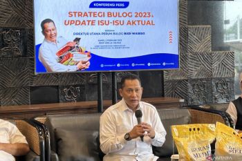 Bulog mulai serap padi lokal bulan April, penuhi stok 2,4 juta ton beras
