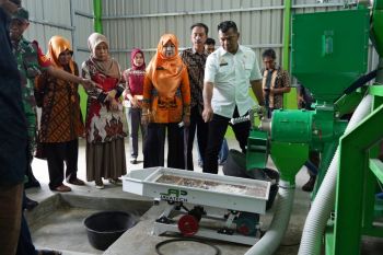 Pemkab Bulukumba meresmikan lumbung pangan tingkatkan sektor pertanian