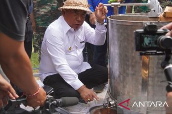 Produksi madu Jembrana tembus pasar dunia