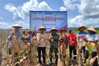 BI Papua serahkan bantuan lima kelompok tani di Kabupaten Keerom