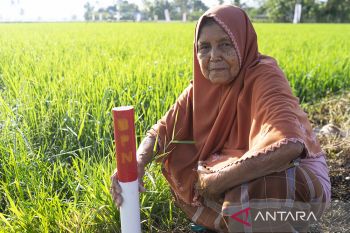 BPN sebut konflik agraria jauh berkurang di Aceh, ini penjelasannya