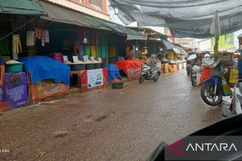 Stabil harga kebutuhan pokok di Kupang