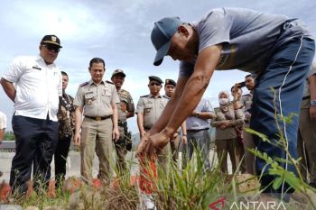 Masyarakat Solok Selatan diingatkan pasang batas tanah biar tak dicaplok