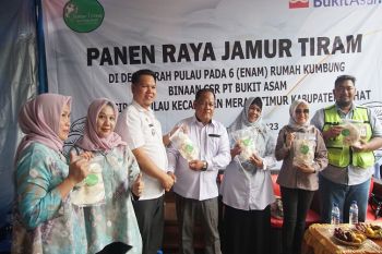 Bukit Asam berdayakan ibu rumah tangga di Lahat lewat budidaya jamur tiram