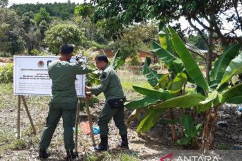 KPHP sebut 40 persen kawasan hutan di Pulau Bintan dalam kondisi rusak