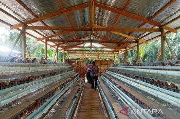 Pemkab Pasaman Barat arahkan nagari siapkan anggaran ketahanan pangan