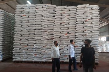 Pasokan daging beku di Bulog Tanjungpinang kosong sejak Desember 2022