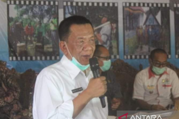 Bupati Rusma Yul Anwar minta maksimalkan penyuluhan pencegahan stunting