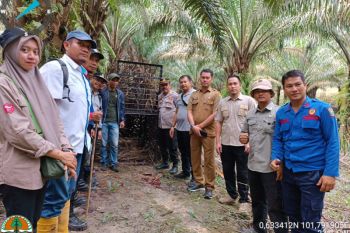 Tiga sekolah di Siak libur terkait kemunculan harimau