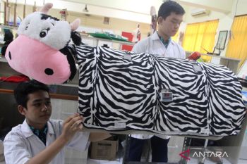 Selimut sapi perah elektronik