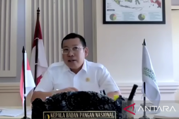 Bapanas: Harga beras masih mahal karena belum memasuki panen raya