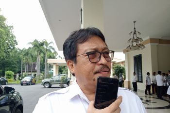 Peternak Mataram dapatkan kompensasi sapi mati akibat PMK