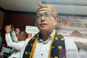 9 kabupaten di NTT terpapar demam Babi Afrika