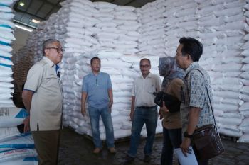 Pusri pastikan persediaan pupuk bersubsidi di Sumsel  aman