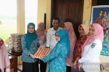 PKK Gowa menyasar balita untuk diberikan makanan tambahan atasi stunting