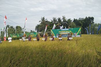Bupati Lombok Tengah mengajak petani tingkatkan hasil produksi